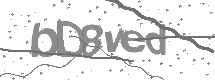 visual captcha
